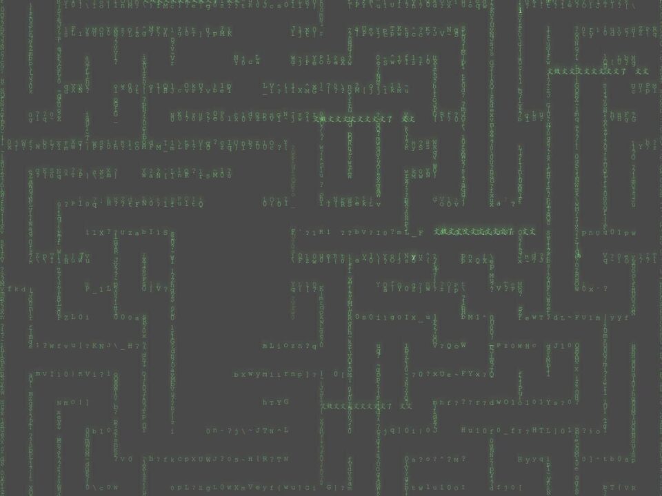 MAZE machen ernst